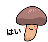 843379132