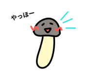 843379135