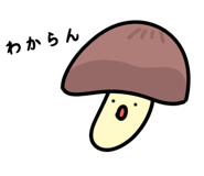 843379142