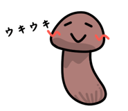 843379149