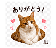 843379159
