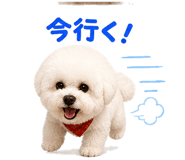 843379378