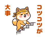 843379426