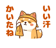 843379444