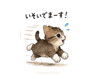 843379582