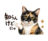 843379641