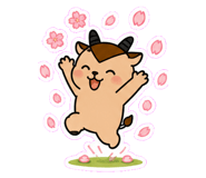843379729