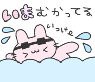 843379790