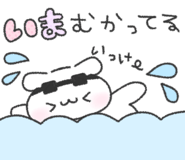 843379886