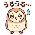 843379984