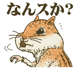 8433800