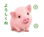 843380321