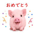 843380322
