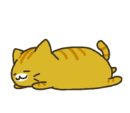 843380767