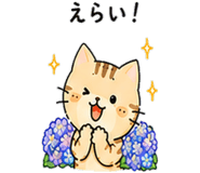 843380776