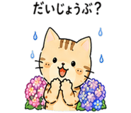 843380788