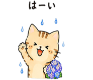 843380791
