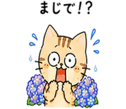 843380793
