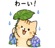 843380799