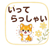 843381206