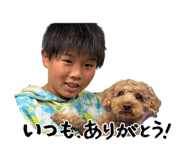 843381341