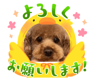 843381342