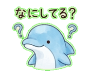 843381906