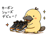 843381968
