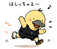843381972