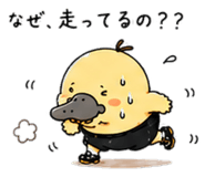 843381973