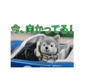 843382013
