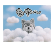 843382015
