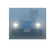 843382017