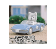 843382041