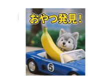 843382043