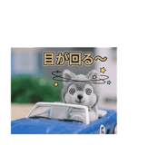 843382044