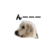 843382558