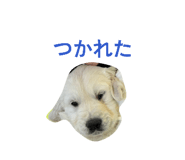 843382559