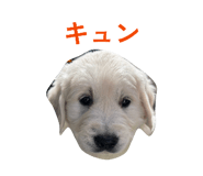 843382560