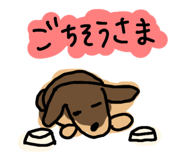 843382594