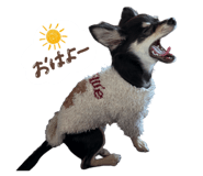 843382667