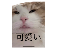 843382991