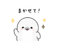 843383205