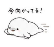 843383206