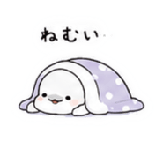 843383215