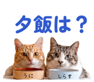 843383258