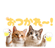 843383261