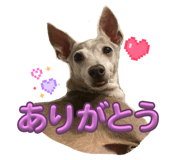 843383555