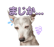 843383556