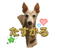 843383557
